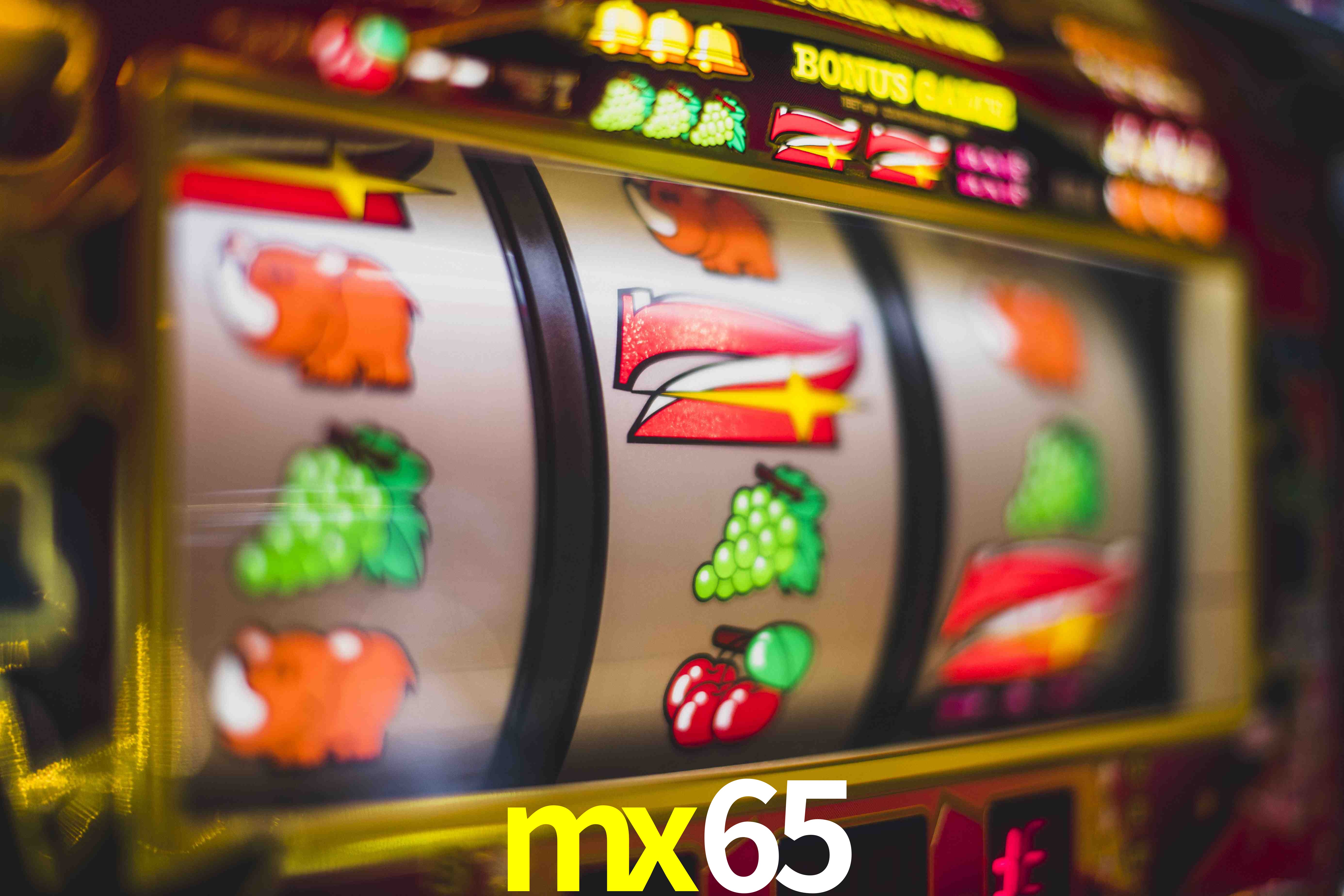 Sports Statistics mx65